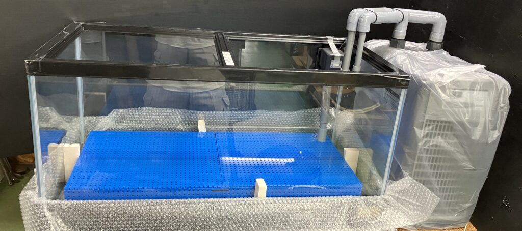 潮900ZR　活魚水槽　新規導入